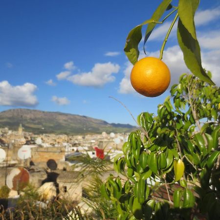 Dar Lalla Kenza Φεζ Εξωτερικό φωτογραφία